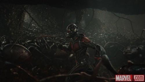 Ant-Man-Movie-Ant-Man-Running-with-the-Ants