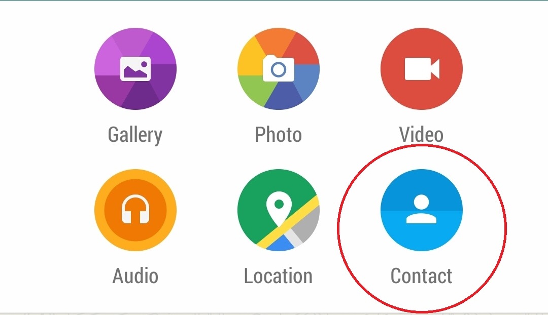 Tips WhatsApp: Mengirim Kontak dan Nomer Telepon 28 WA Kirim Kontak Feat