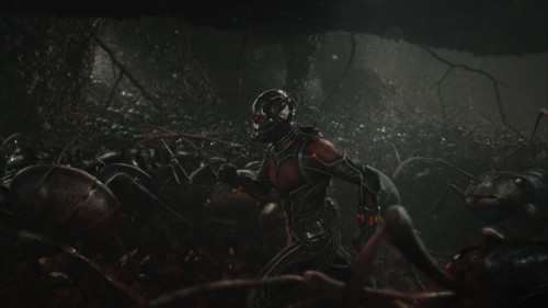 Review Film Ant-Man: Hal Besar Dimulai dari Yang arts_flicks4-1_12