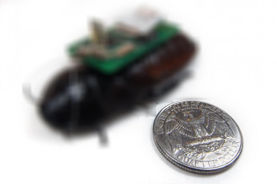 cockroach cyborgs1