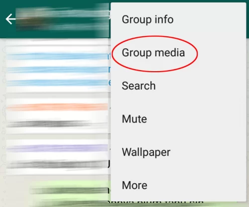 Tips WhatsApp: Melihat Kembali File Media dari Grup 1 grup media