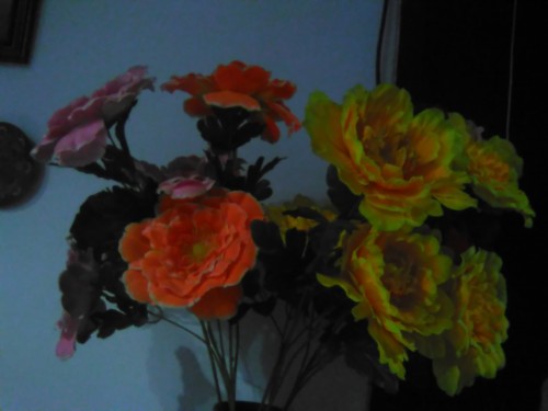 Hasil Kamera Bolt Powerphone E1 (1)