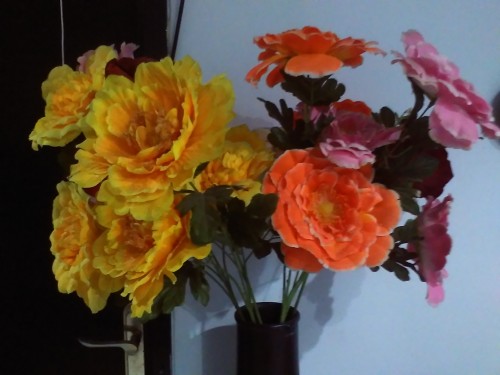 Hasil Kamera Bolt Powerphone E1 (2)