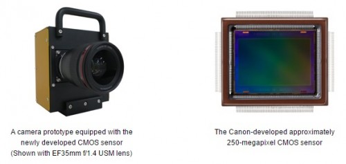 Canon 250 mp sensor
