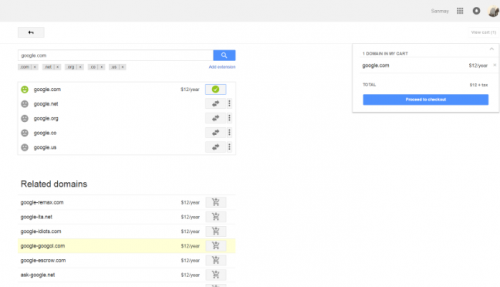 Google Domain