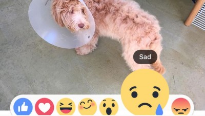 sad