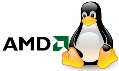 AMDlinux