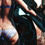 fallout 4 lingerie