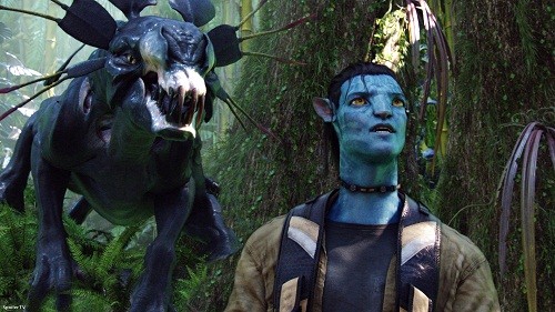 Produksi Film Avatar 2 Akan Dimulai Tahun Depan 1 Avatar 2