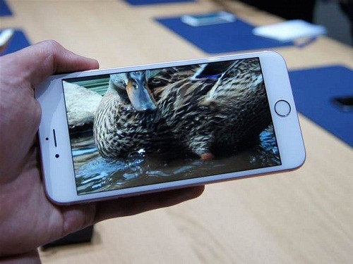 Kembangkan OLED Sendiri, Apple Buka Laboratorium di Taiwan 1 apple oled