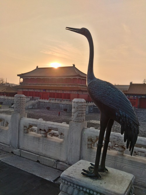 Review Smartphone Android: ASUS Zenfone Selfie 8 P_20151211_155242_HDR