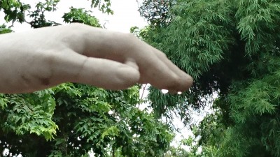 Review Smartphone Android: Sony Xperia Z5 9 DSC 0169