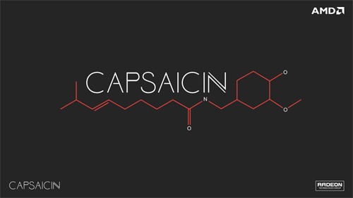 AMD Capsaicin Logo
