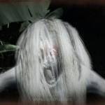 Dreadout Keepers of the D