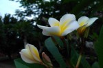 IMG 20160311 094851