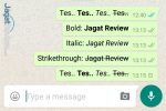 Tips WhatsApp: Teks Bold, Italic, & Strikethrough 17 SS WhatsApp Text Formatting Feat