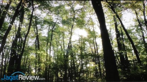 BenQ W2000 - Picture Mode Game - Video