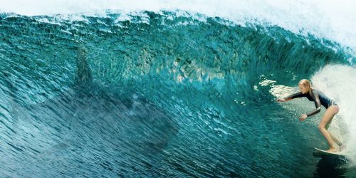 Review The Shallows: Tegang Tapi Puas! 4 shallows-blake-lively