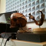 Desainer Suara Inside Gunakan Tengkorak Manusia 10 skull inside