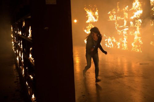 fallen-3