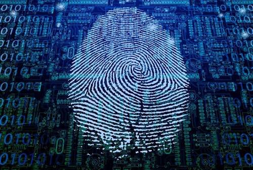 Synaptics Umumkan Under-Glass Fingerprint Scanner Terbaru 1 Synaptics Umumkan Under-Glass Fingerprint Scanner Terbaru