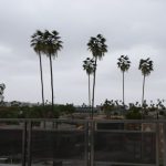 GTA V Terlihat Kian Realistis dengan Mod Visual Terbaru 15 gta v mod naturalvision remastered 600x338 1