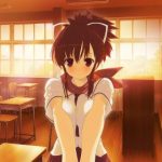 Nintendo Ingin Lepaskan Identitas “Konsol Anak-Anak” 9 shinobi refle senran kagura 600x280