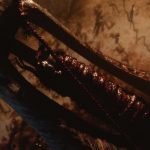 from software new game