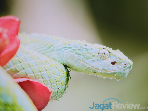 LG 32UD99 W HDR 01 Off HDR Effect