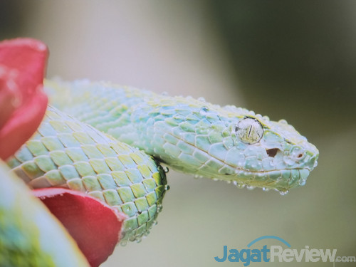 LG 32UD99 W HDR 01 On HDR Cinema