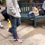 niantic occlusion