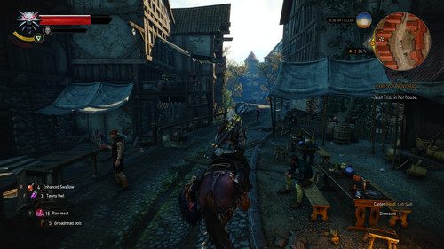 SS witcher3 2018 10 11 07 44 53 52