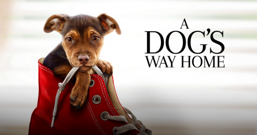 Film akan Datang 2019 – Part I 5 a dogs way home