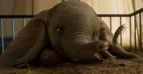 Film akan Datang 2019 – Part I 14 dumbo