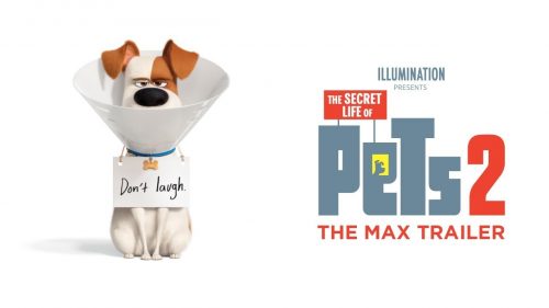 Film akan Datang 2019 – Part I 10 the secret life of pets 2