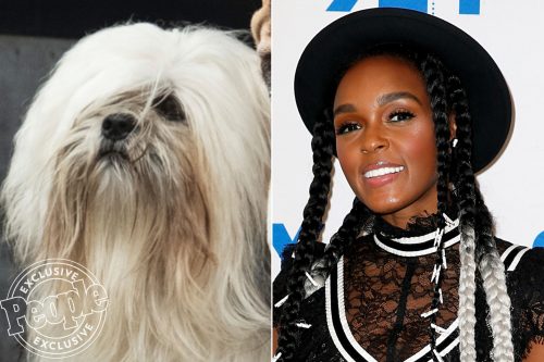 Tampilan Perdana Live Action janelle