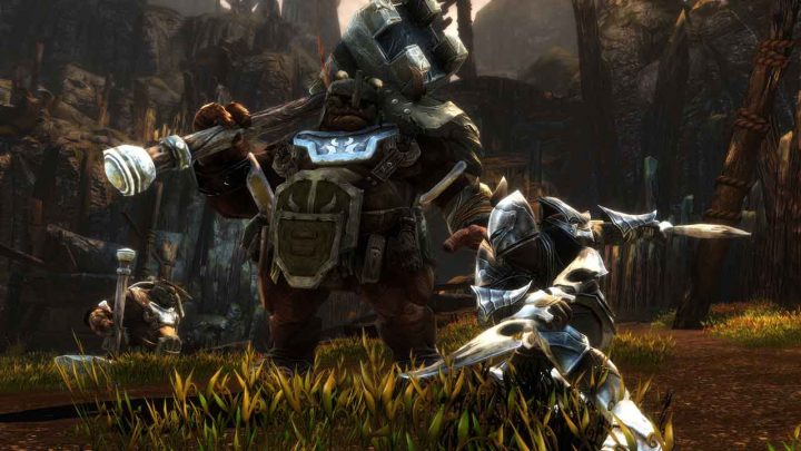 Spesifikasi PC untuk Kingdoms of Amalur: Re-Reckoning 8 kingdoms of amalur re reckoning 1