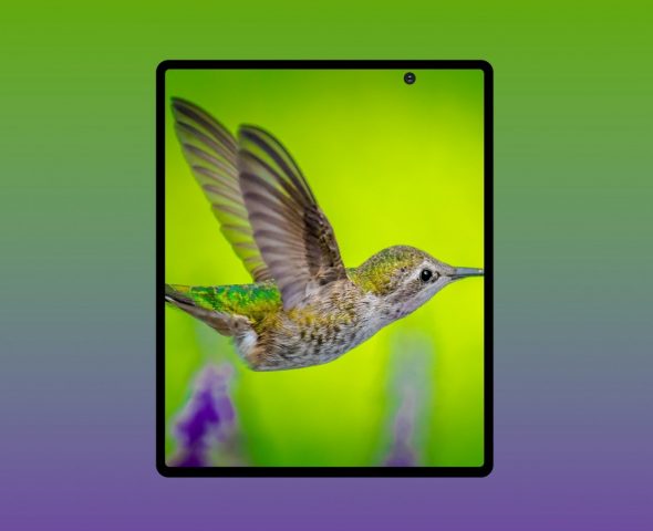 Suksesor dari Samsung Galaxy Fold akan Disebut Galaxy Z Fold 2? 13 samsung galaxy fold z 2