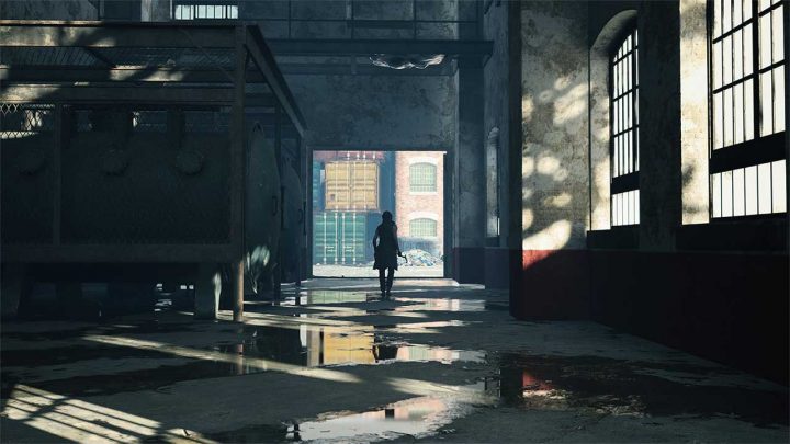 dmc 5 special edition2