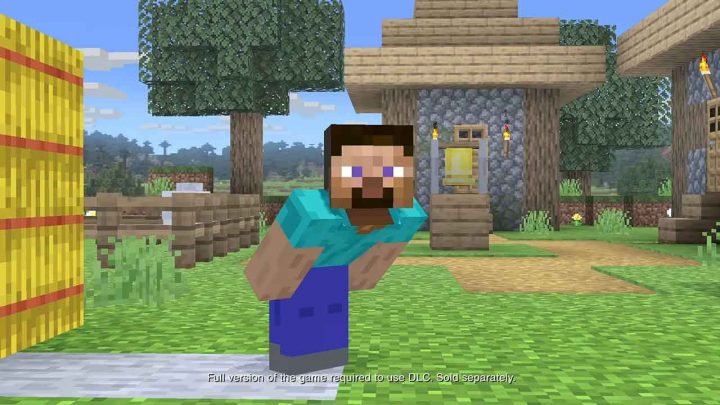 steve minecraft