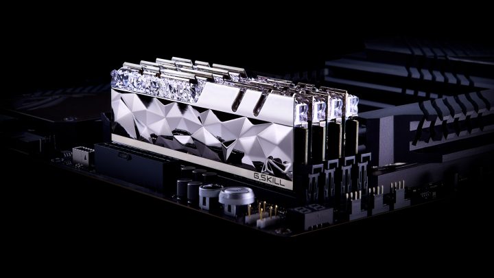 02 trident z royal elite silver mb