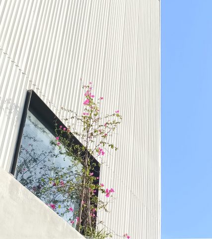 Direct Release: Tips Foto Kreatif Ala Prodigy dengan Oppo Reno6 Series 5G 5 Prodigy OPPO 1