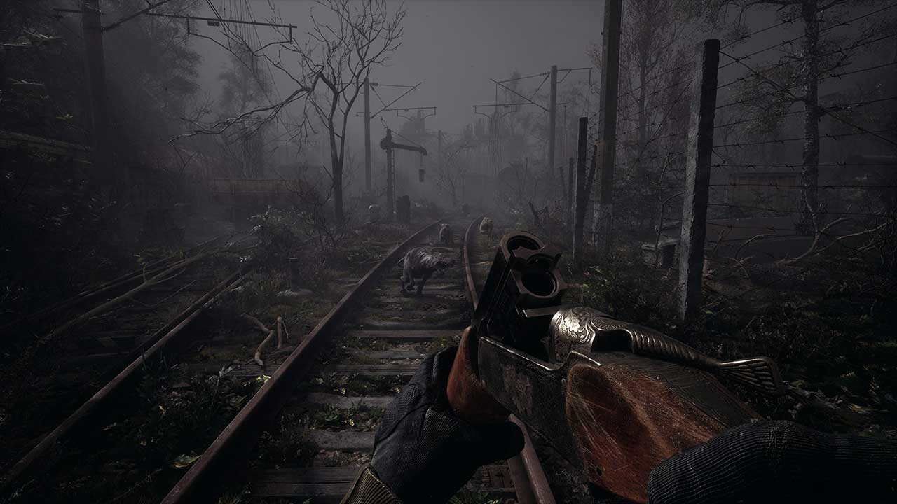 stalker 21