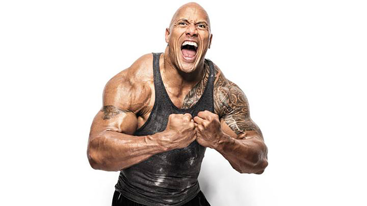 the rock