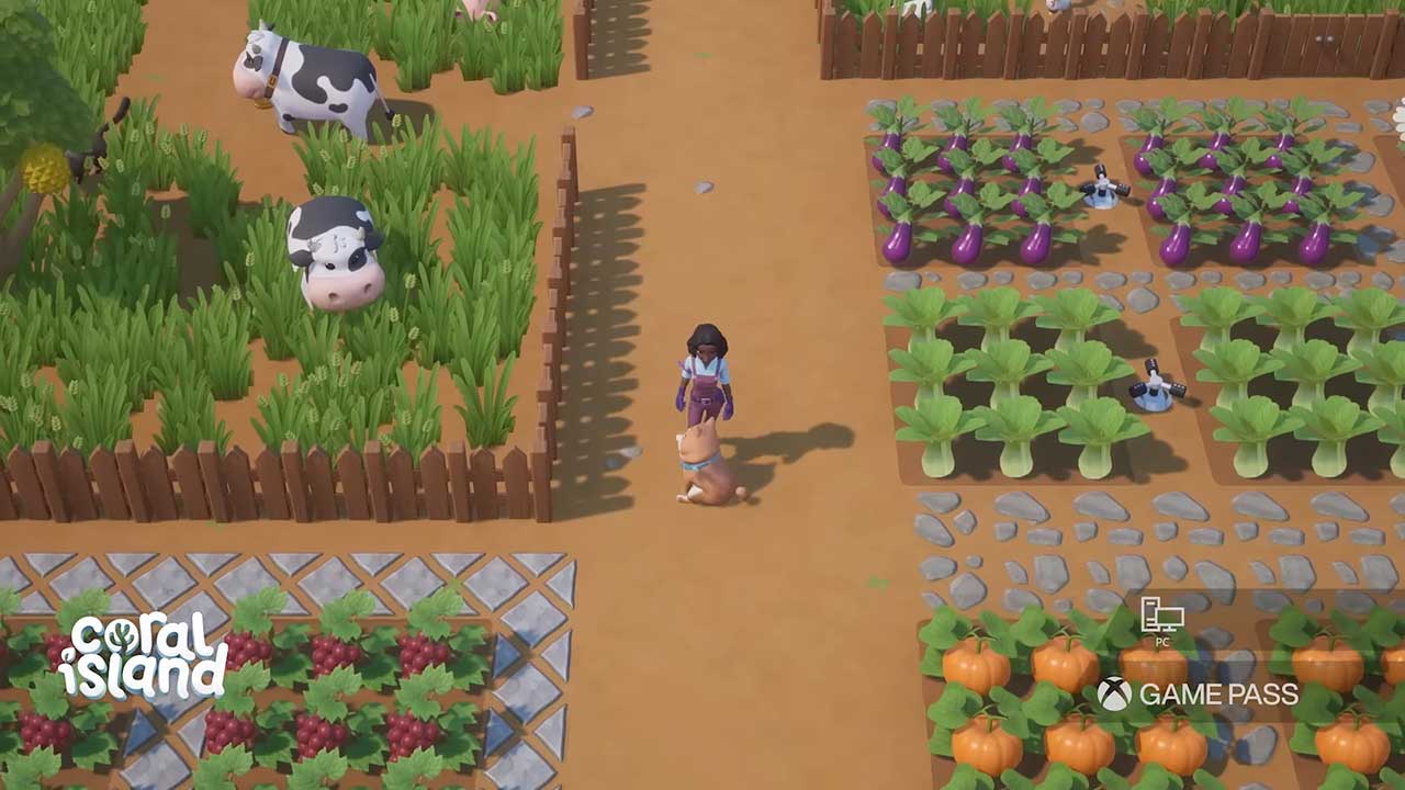 449d0b0c5b14065fd90313f35a5c4c21