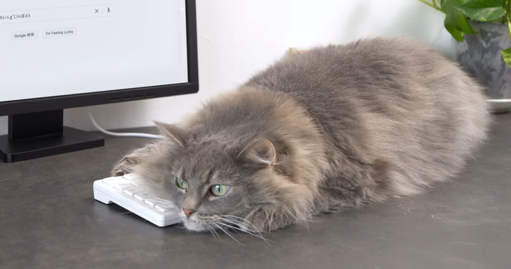 Google Jepang Kenalkan Keyboard Panjang Multifungsi: Gboard Stick! 3 Google Gboard Stick