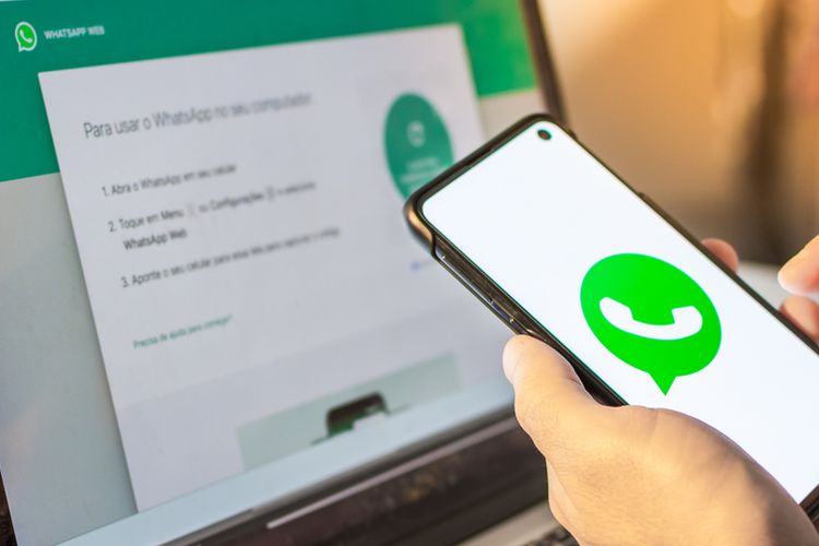 WhatsApp mod