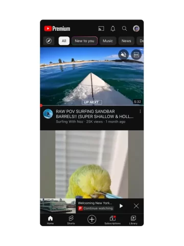Continue watching.max 1000x1000.format webp