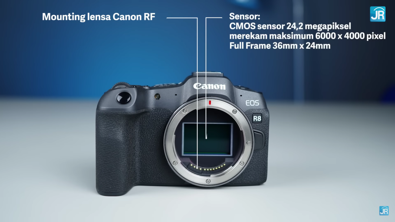 Review Canon EOS R8