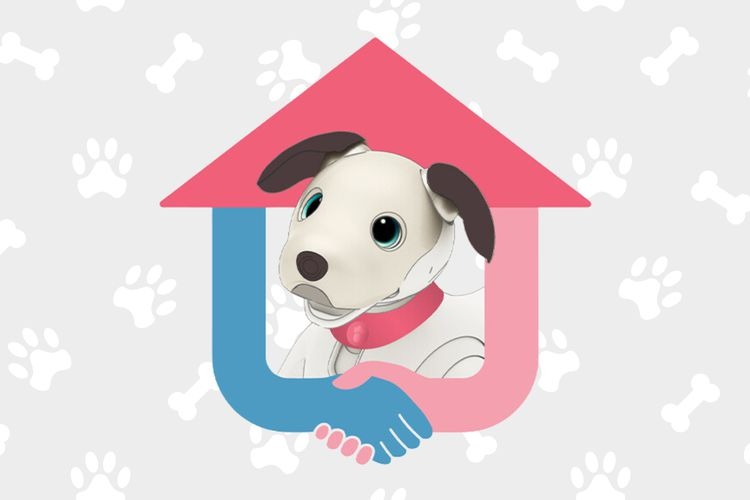 Sekarang, Robot Anjing Pun Punya Program Orang Tua Asuh 1 Aibo Program orang tua Asuh